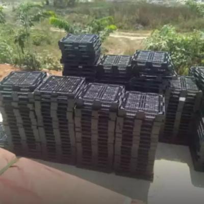 Palet Plastik Berkualitas1e9y
